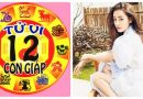 Tử vi mới nhất Thứ Ba ngày 19/9/2017 của 12 con giáp: Tý, Thân gặp nhiều trở ngại trong công việc; Ngọ, Hợi tình duyên nảy nở, tài lộc dồi dào