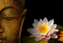 Phật dạy: Mỗi người xuất hiện trong cuộc đời bạn đều có nguyên do, họ đến bởi vì…