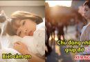 Nắm được 14 bí quyết này ai cũng yêu mến, làm gì cũng thuận lợi