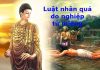 Luật nhân quả từ miệng mà ra trong đời sống thường ngày
