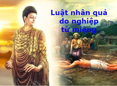 Luật nhân quả từ miệng- căn nguyên của quả báo theo luật nhân quả