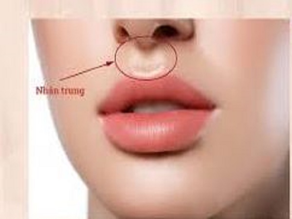 Nhân trung rộng và sâu – người có phúc phần lớn, quan hệ xã hội tốt
