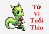 Tử Vi Tuổi Thìn