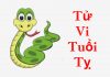 Tử Vi Tuổi Tị