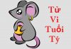 Tử Vi Tuổi Tý