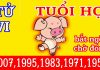 Tử Vi Tuổi Hợi