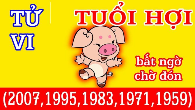 Xem tử vi trọn đời tuổi Hợi 