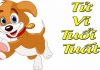Tử Vi Tuổi Tuất