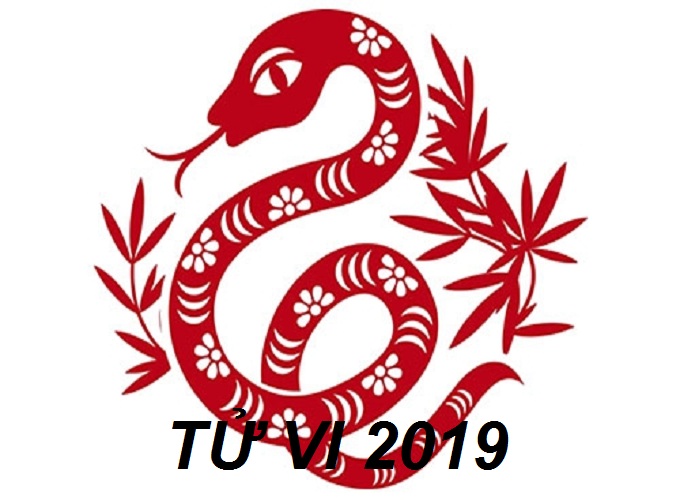 Tử vi tuổi Tỵ 2019 