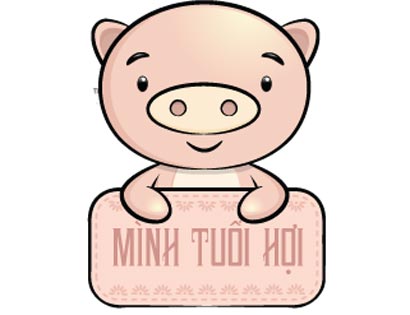 Tử vi tuổi Hợi 2019