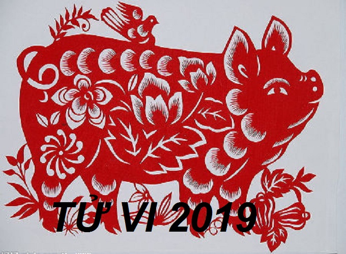 Tử vi tuổi Hợi 2019