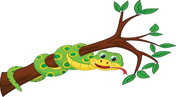 Tử vi tuổi Tỵ 2019