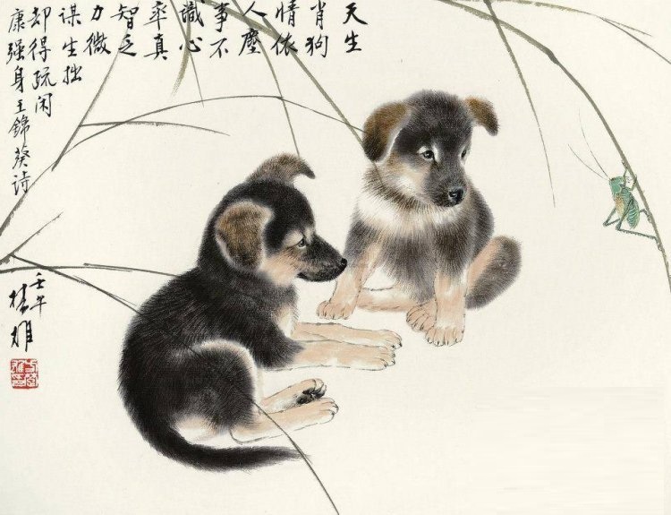 Tử vi tuổi Tuất 2019
