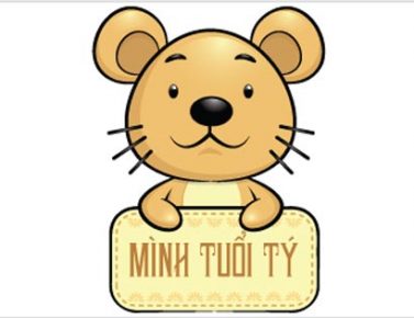 Tử vi tuổi Tý 2019