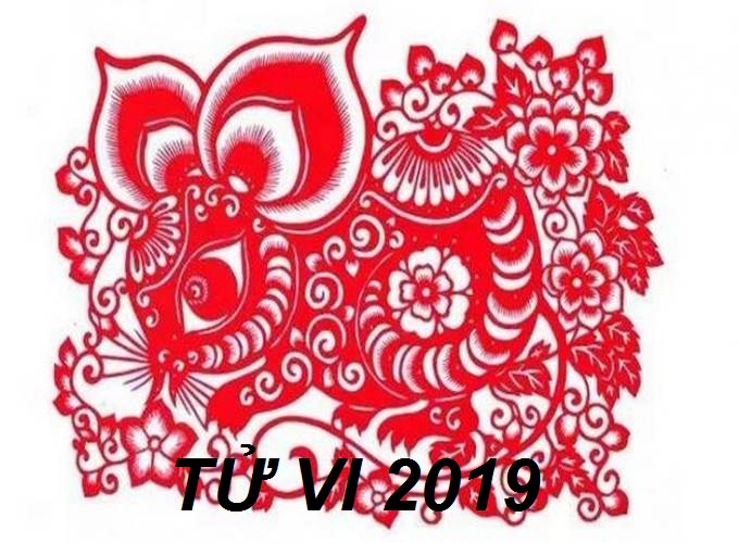 Tử vi tuổi Tý 2019
