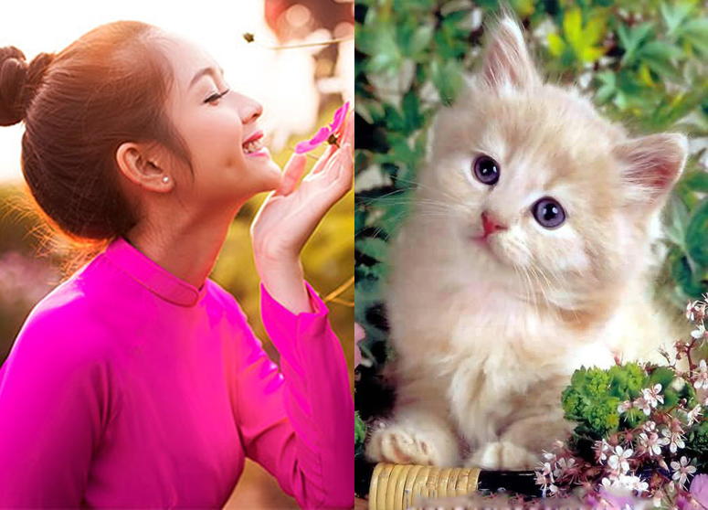 Top con giáp ngập tiền trong 3 năm tới