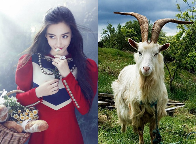 Tuổi Mùi – Con giáp vượng quý nhân có cơ hội bứt phá