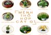 Những loại cây hợp với người mệnh Thổ theo phong thủy