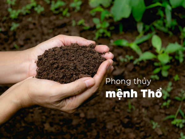 Đôi nét về mệnh Thổ