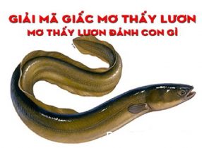 Mơ thấy lươn có phải luôn mang điềm báo không may mắn