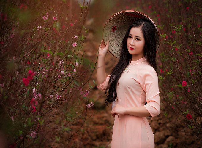 Tuổi Bính Tuất sinh năm 2006 mệnh gì, hợp màu sắc nào?