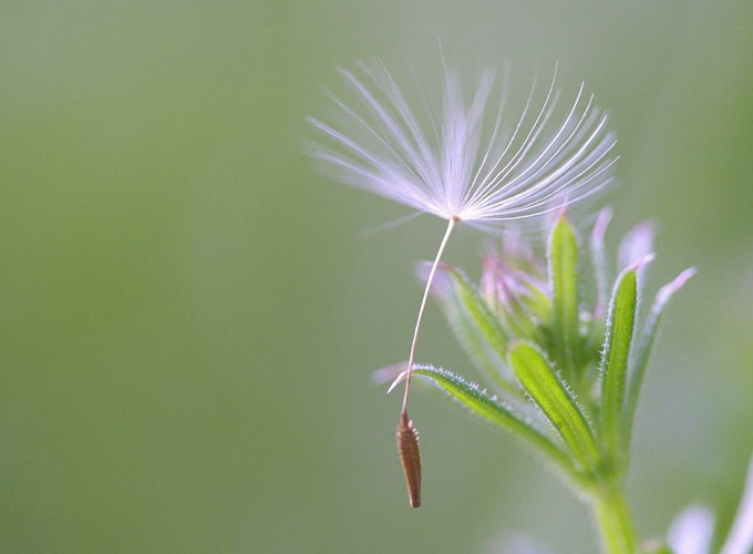 Top con giáp nhàn nhã cả đời, không lo thiếu tiền tiêu nếu sinh vào giờ này