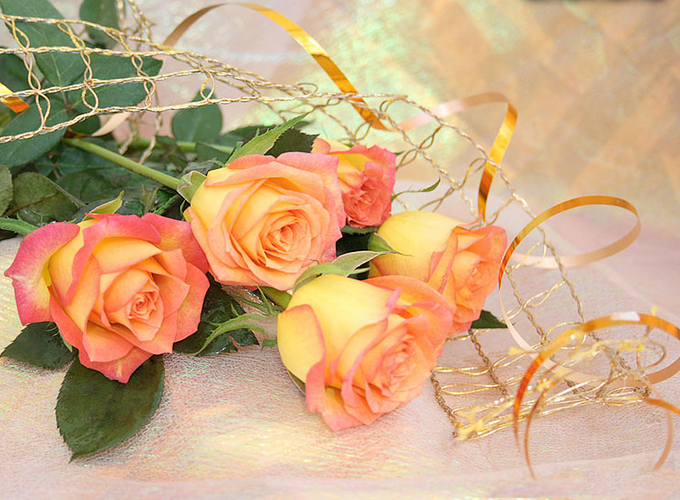 Chúc mừng những con giáp đầu năm 2019 vượng phát, tiền lộc như mơ