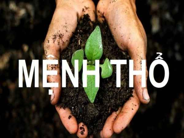 Phong thủy hợp người mệnh Thổ mang đến sự thịnh vượng