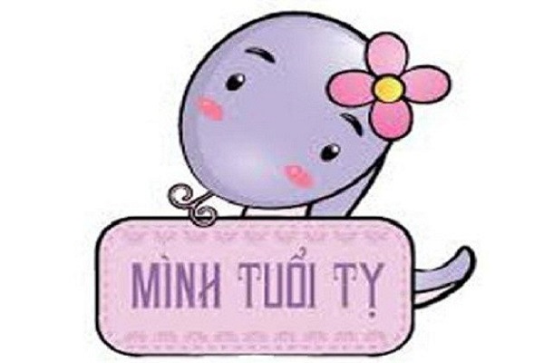 tử vi tuổi tỵ năm 2020