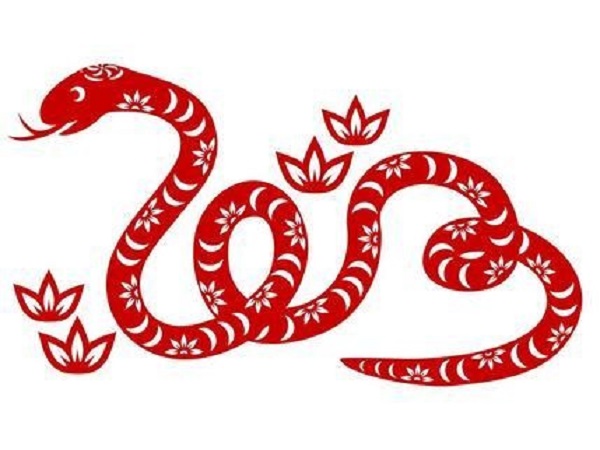 Tử vi tuổi Tỵ năm 2020