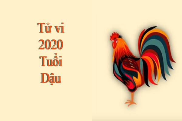 tử vi tuổi dậu năm 2020