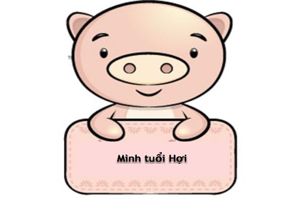 tử vi tuổi hợi năm 2020