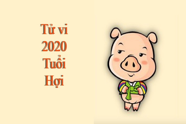 tử vi tuổi hợi năm 2020