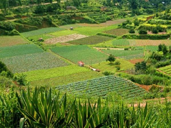 Mơ thấy đất là điềm báo gì
