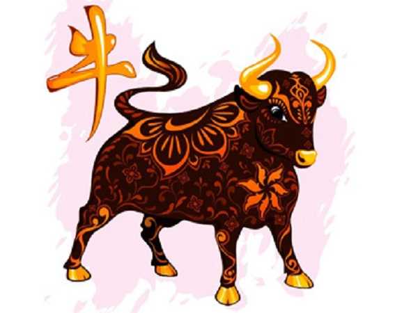 xem tuổi xông nhà 2020