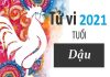 Tử vi tuổi Dậu Năm 2021 Tử vi tuổi Dậu Năm 2021