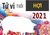 Tử vi tuổi Hợi Năm 2021 Tử vi tuổi Hợi Năm 2021