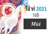 Tử vi tuổi Mùi năm 2021 Tử vi tuổi Mùi năm 2021