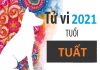 Tử vi tuổi Tuất Năm 2021 Tử vi tuổi Tuất Năm 2021