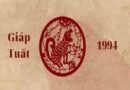 Tử vi tuổi Giáp Tuất 1994 năm 2024 đoán sự nghiệp, tình cảm