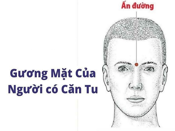 Tướng người có căn quả là gì?