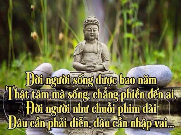Sống với tâm từ bi, khoan dung và độ lượng