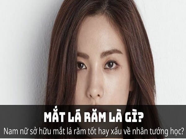 Xem tướng mắt lá răm tính cách, vận mệnh