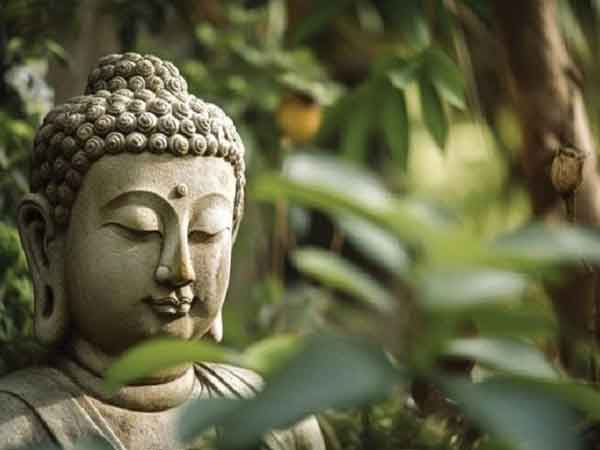 Lời phật dạy cho đi và nhận lại thể hiện sự từ bi và thấu hiểu