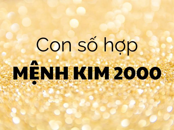 Tổng hợp số hợp mệnh Kim 2000 giúp gia tăng may mắn