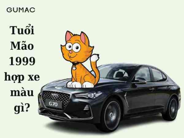 Tuổi Kỷ Mão 1999 hợp màu xe gì để hút tài lộc, tránh xui xẻo?