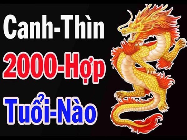 Nam sinh năm 2000 hợp tuổi nào