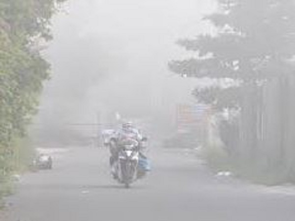 Nên làm gì khi gặp sương mù dày vào buổi sáng?