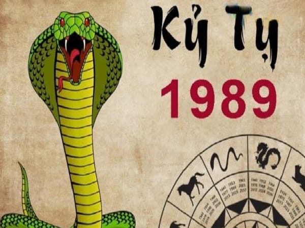Tổng quan về tuổi Kỷ Tỵ 1989